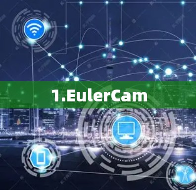 1.EulerCam
