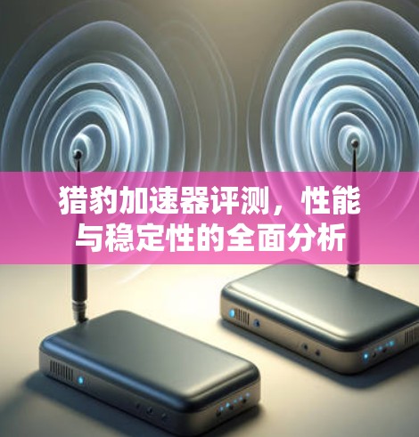 猎豹加速器评测，性能与稳定性的全面分析