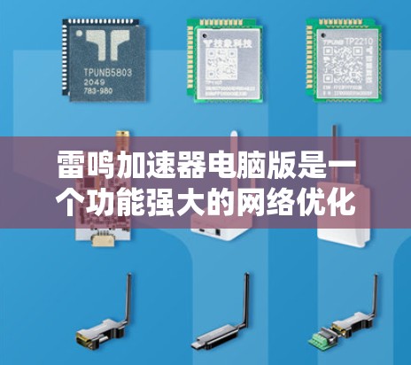 雷鸣加速器电脑版是一个功能强大的网络优化工具，旨在帮助用户提升网络速度和安全性。以下是使用雷鸣加速器电脑版的详细指南