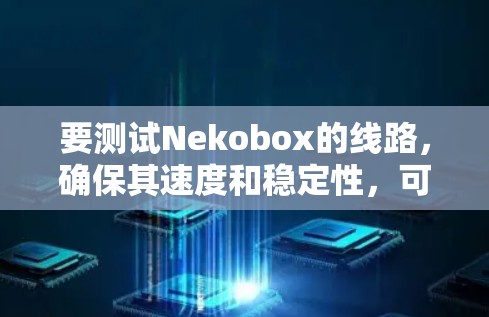 要测试Nekobox的线路，确保其速度和稳定性，可以按照以下步骤进行