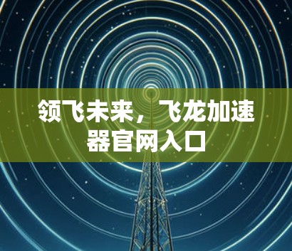 领飞未来，飞龙加速器官网入口