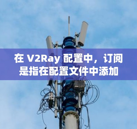 在 V2Ray 配置中，订阅是指在配置文件中添加 DNS 解析服务提供商的地址，用于提高配置的有效性和稳定性。以下是如何在 V2Ray 配置文件中添加订阅的步骤
