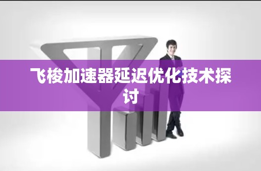 飞梭加速器延迟优化技术探讨