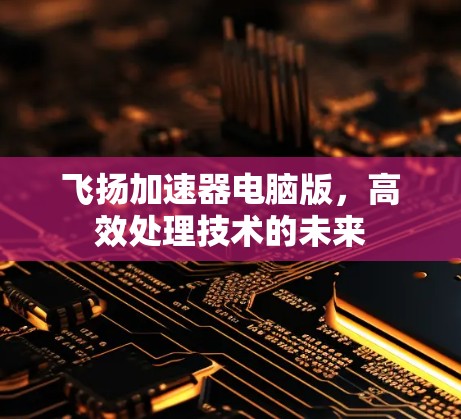 飞扬加速器电脑版，高效处理技术的未来