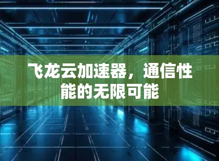 飞龙云加速器，通信性能的无限可能