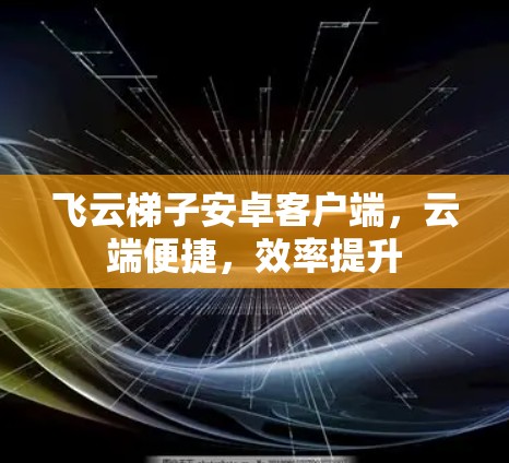 飞云梯子安卓客户端，云端便捷，效率提升