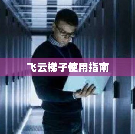 飞云梯子使用指南